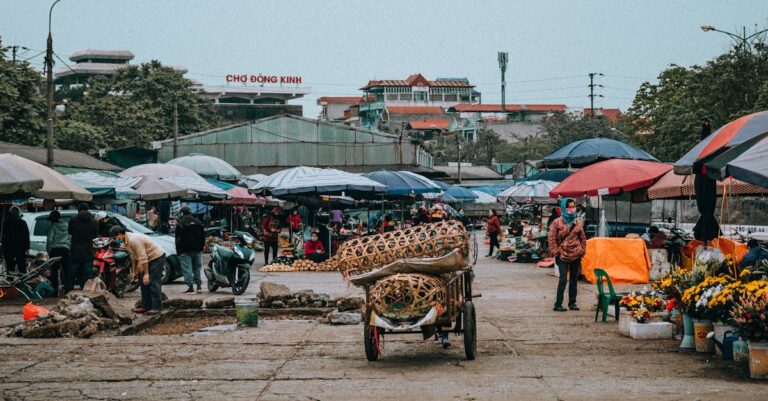 Pexels photo 18792056