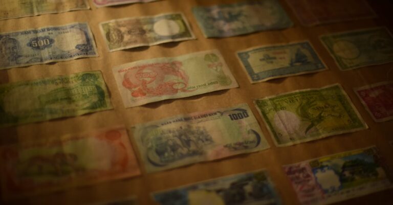 Pexels photo 33145252