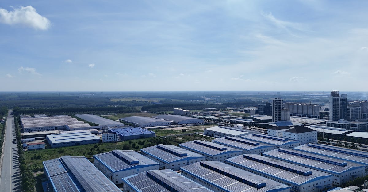 Pexels photo 29289930