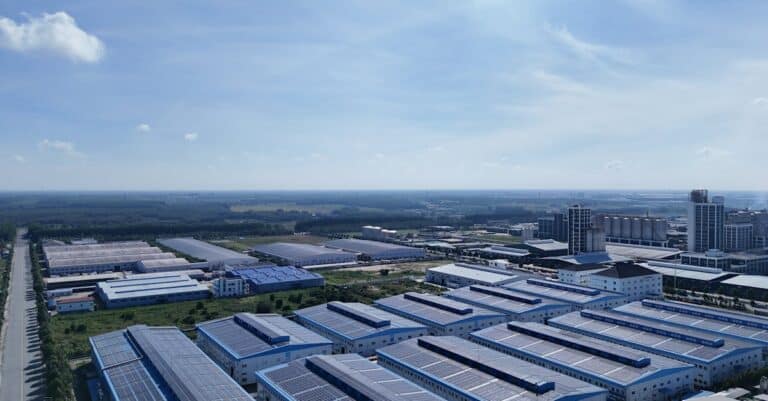 Pexels photo 29289930