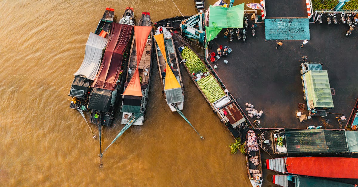 Pexels photo 32607904