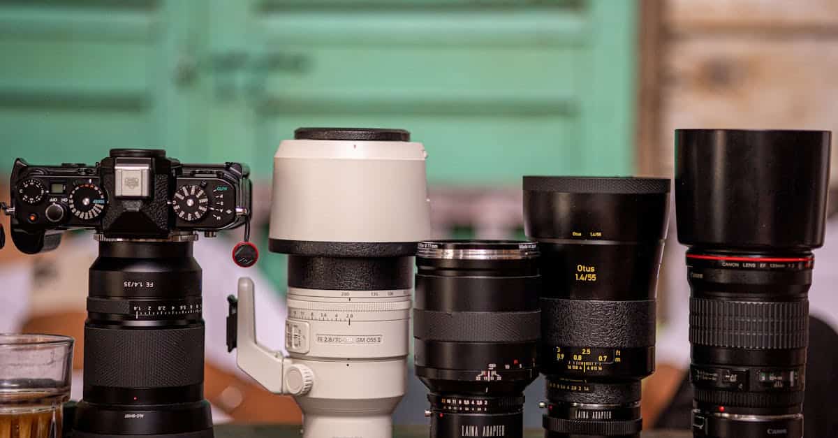 Pexels photo 32659880