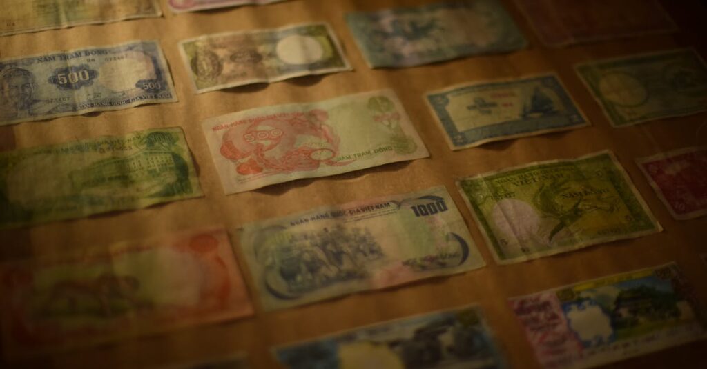 Pexels photo 33145252