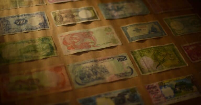 Pexels photo 33145252