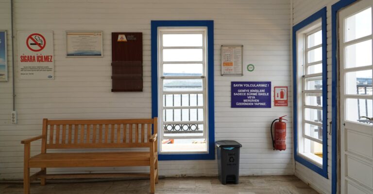 Pexels photo 33396638