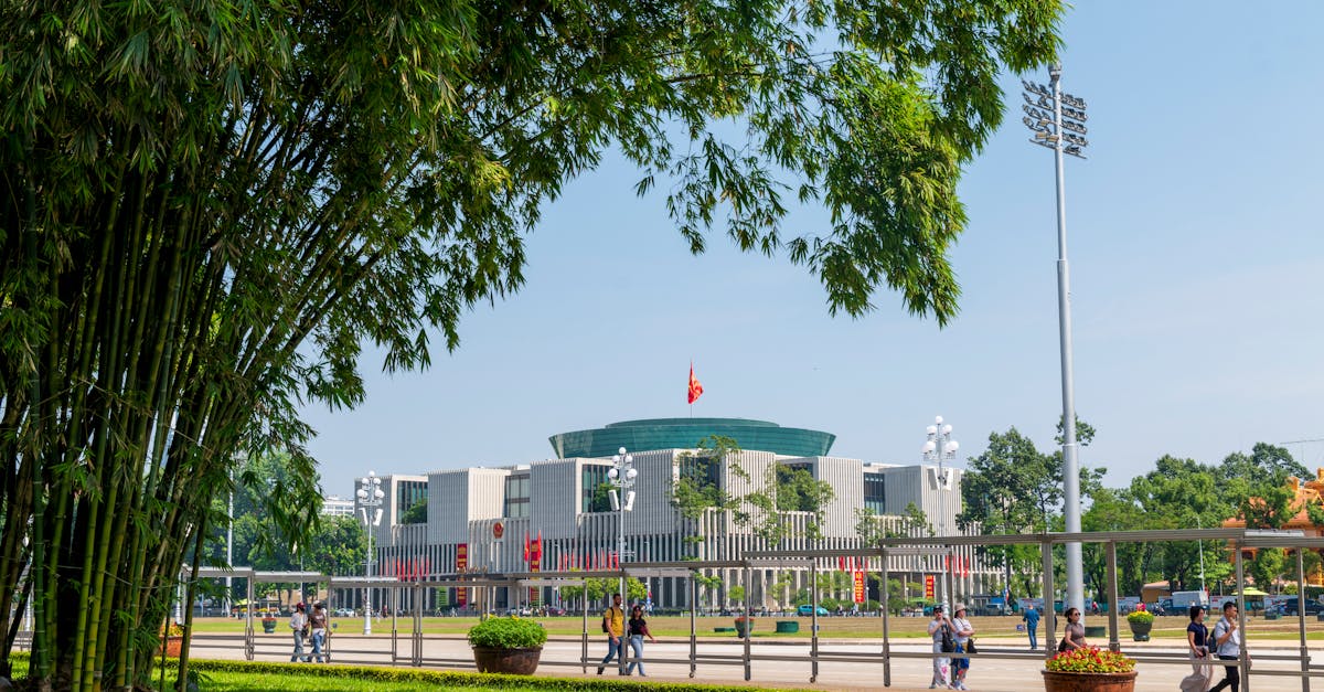 Pexels photo 34477005