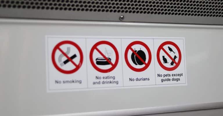 Pexels photo 8920674