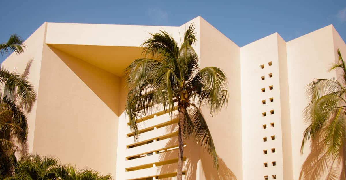 Pexels photo 29220860